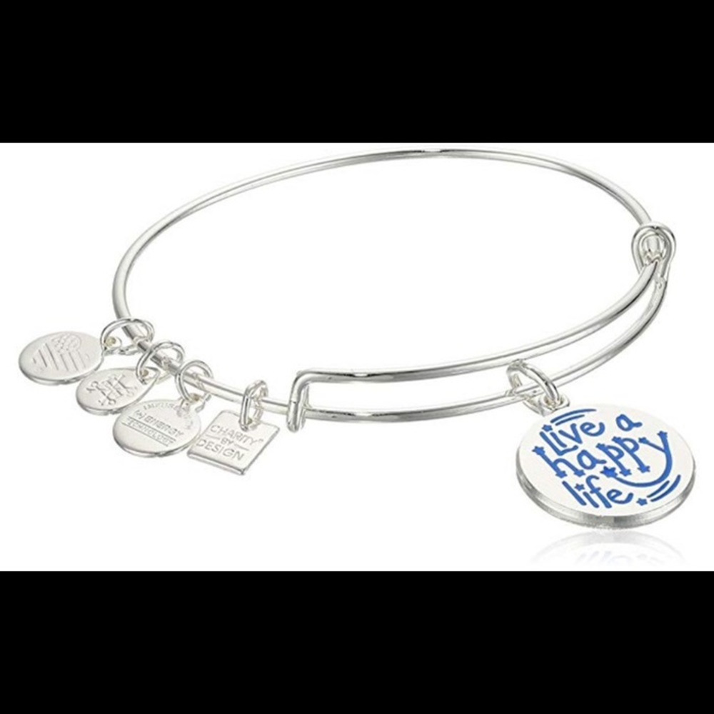 new alex & ani bracelet .